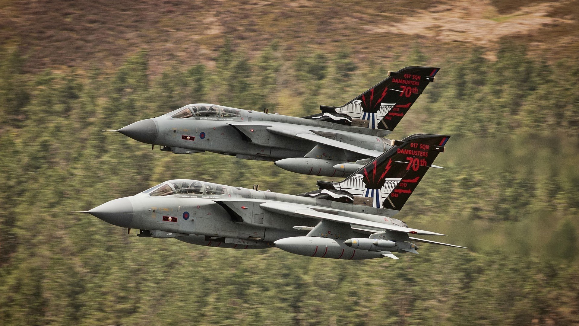 _夜光灯光武术表演：灯火辉煌中的运动盛典_，武馆灯光