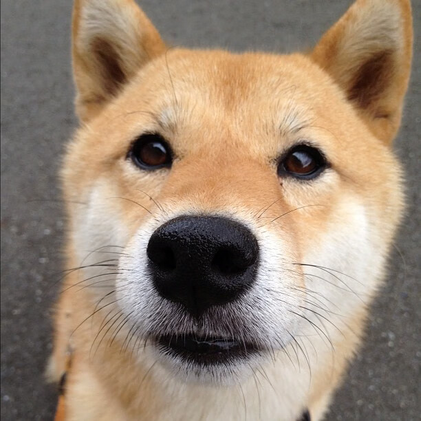 AYX体育官网-_赛事巡礼：今年必看的十场精彩比赛_，bisu十大精彩比赛