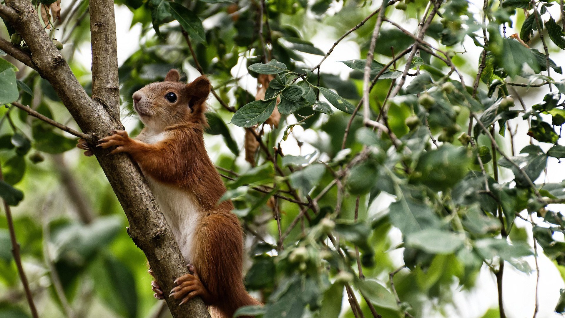 _青少年夏令营：全面提升技术与团队合作_，青少年拓展夏令营