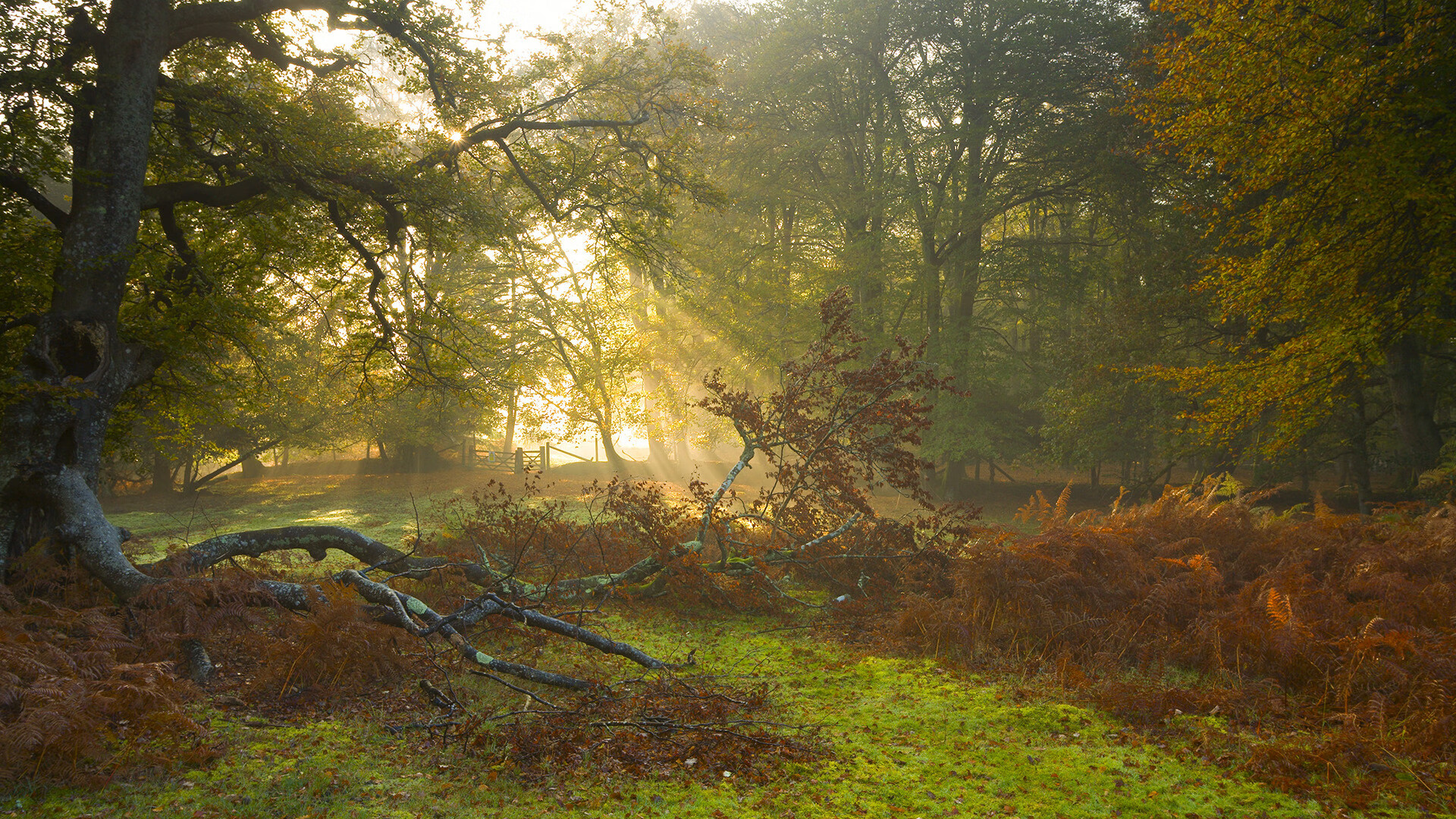 爱游戏娱乐平台-“裁判员培训体系全覆盖，赛事公平有效保障”，关于举办裁判员培训班的通知