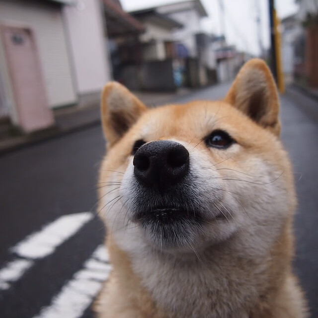 爱游戏登录入口-北京青少年篮球赛精彩纷呈，培养青训力量，2021北京青少年俱乐部篮球联赛